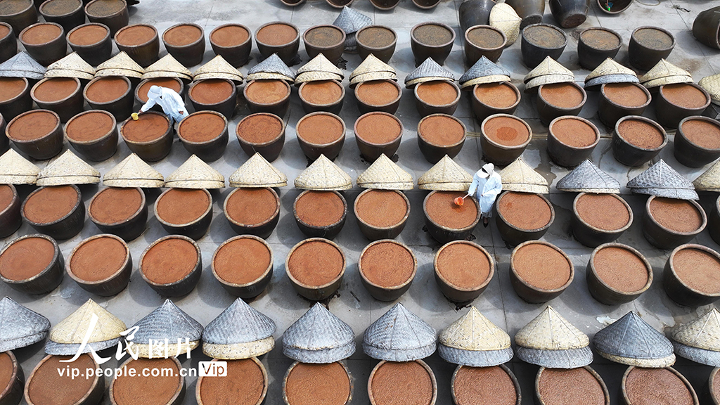 江蘇灌云:夏日曬醬【6】