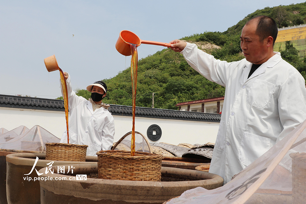 江蘇灌云:夏日曬醬【2】