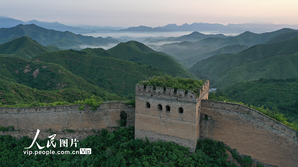 北京密云:蟠龍山長城晨霧縹緲景美如畫【2】