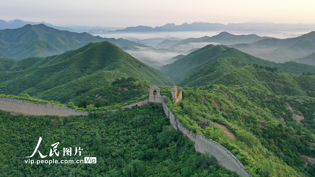 北京密云:蟠龍山長城晨霧縹緲景美如畫【3】