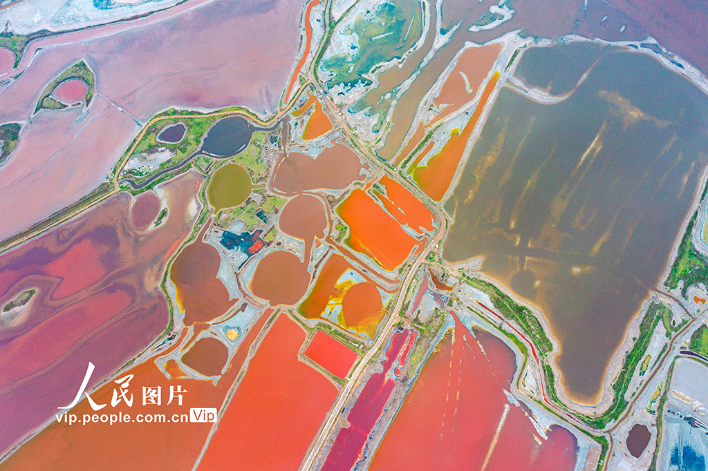 山西運城:夏日鹽湖色彩斑斕【3】