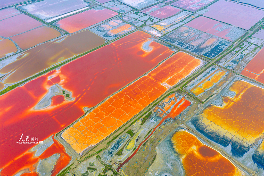 山西運城:夏日鹽湖色彩斑斕【4】