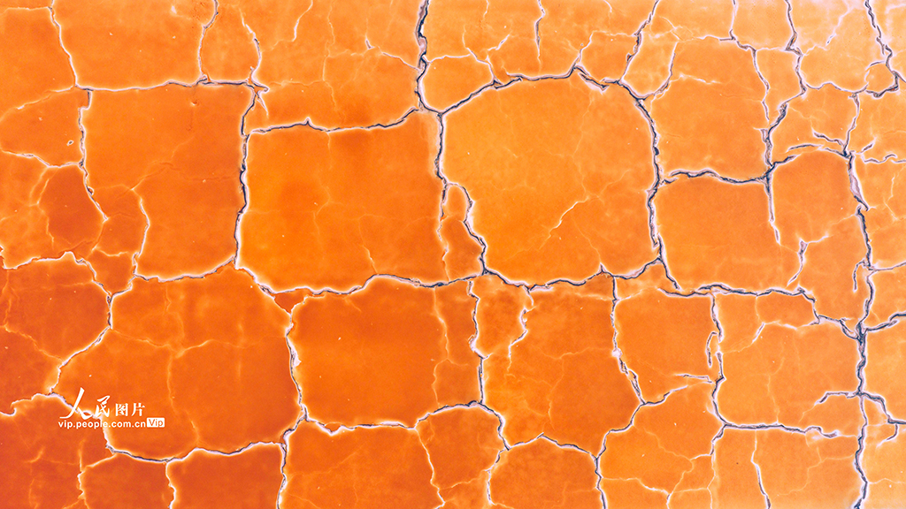 山西運城:夏日鹽湖色彩斑斕【5】