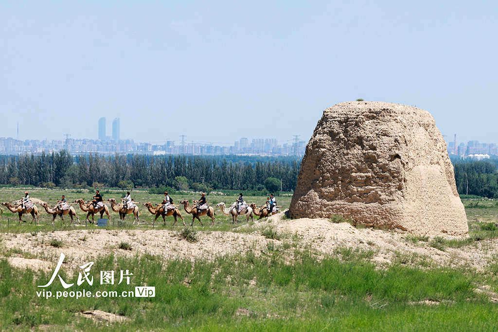 寧夏銀川：西夏陵景區【4】