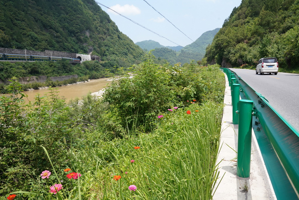  7月15日，火車和汽車分別行駛在嘉陵江兩岸的寶成鐵路和328省道上。新華社記者 馬寧 攝