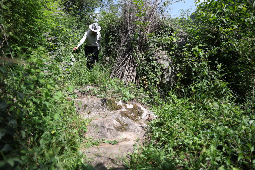 7月14日在青泥嶺拍攝的碥道遺存。新華社記者 陳斌 攝