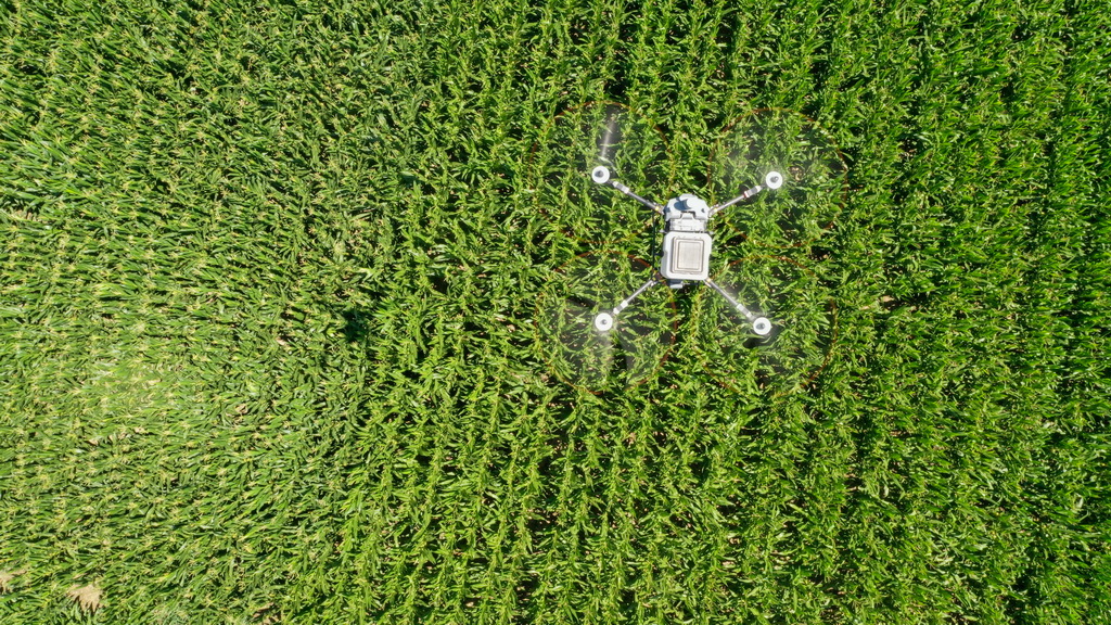 7月21日，在位于吉林省四平市梨樹縣的“科技小院”試驗田，植保無人機為玉米精準施肥（無人機拍攝）。