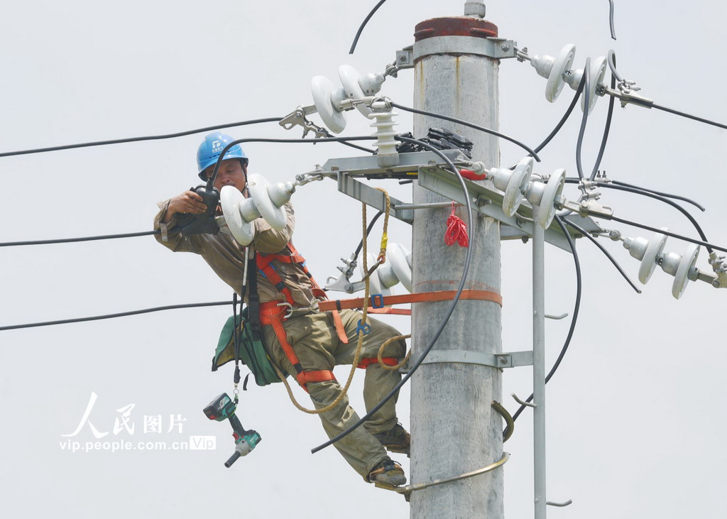 湖南嘉禾:戰高溫 保供電【3】