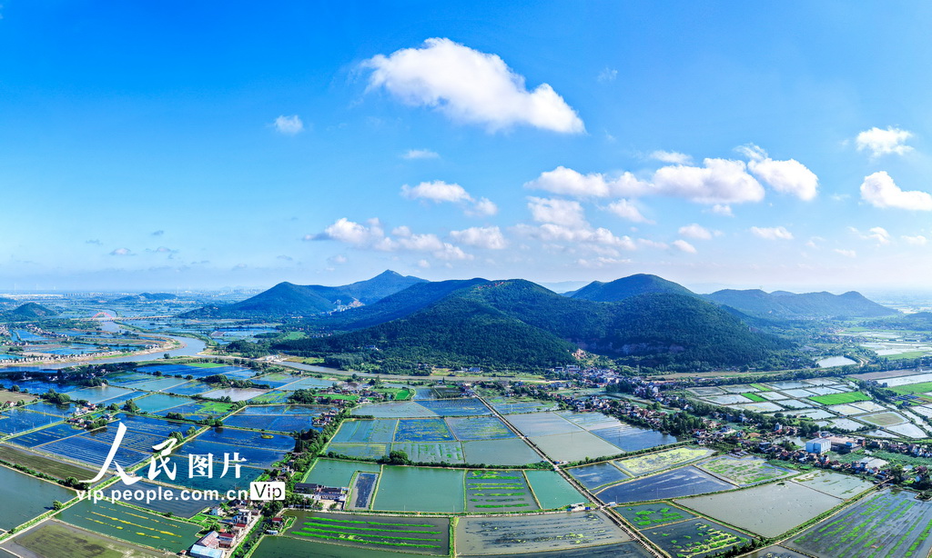 安徽當涂：繪就江南水鄉生態新畫卷