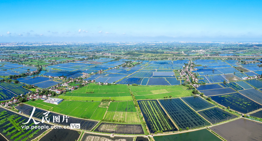 安徽當涂:繪就江南水鄉生態新畫卷【2】