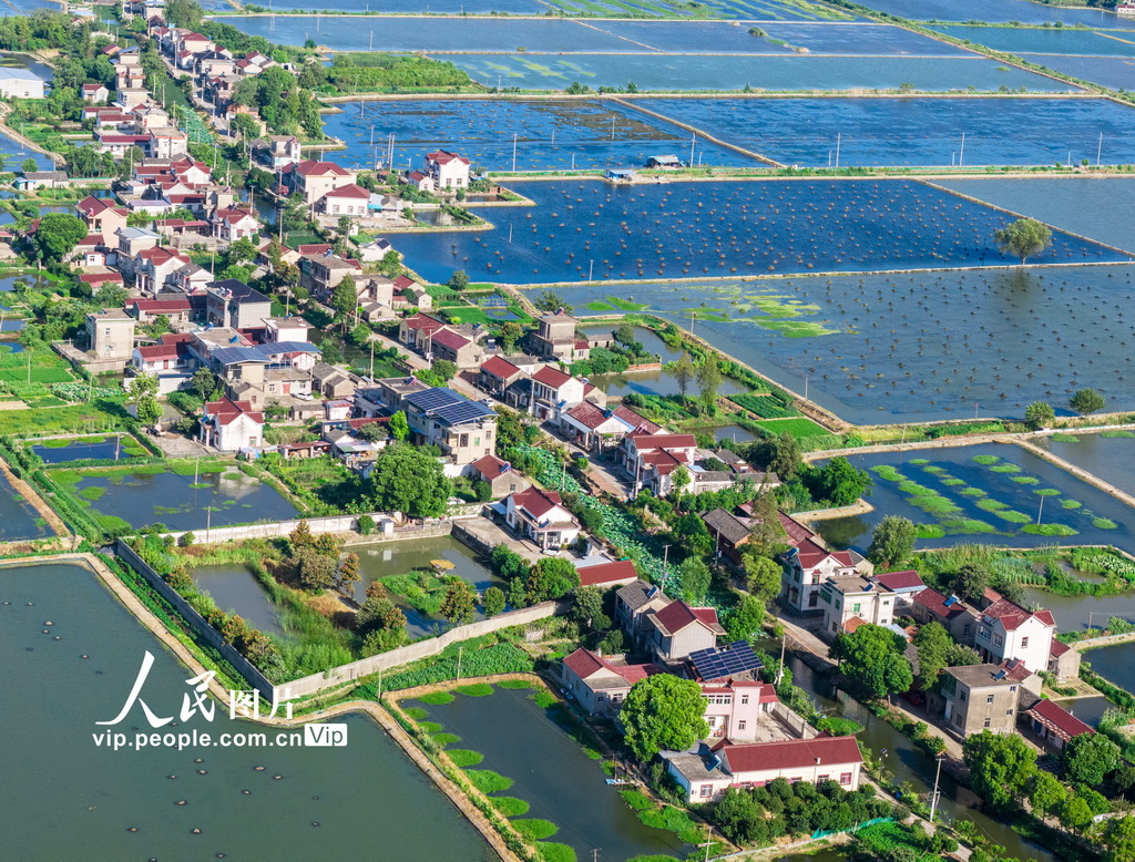 安徽當涂:繪就江南水鄉生態新畫卷【3】