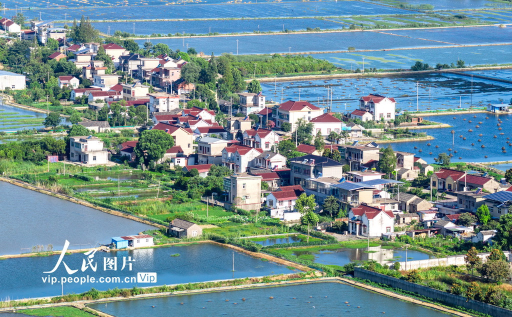 安徽當涂:繪就江南水鄉生態新畫卷【4】