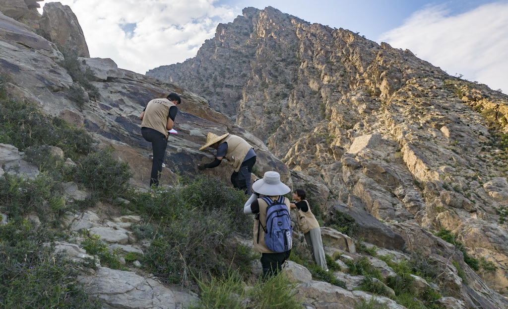 7月23日，工作人員在賀蘭山巖畫遺址區內進行2025年度巖畫復查（無人機照片）。