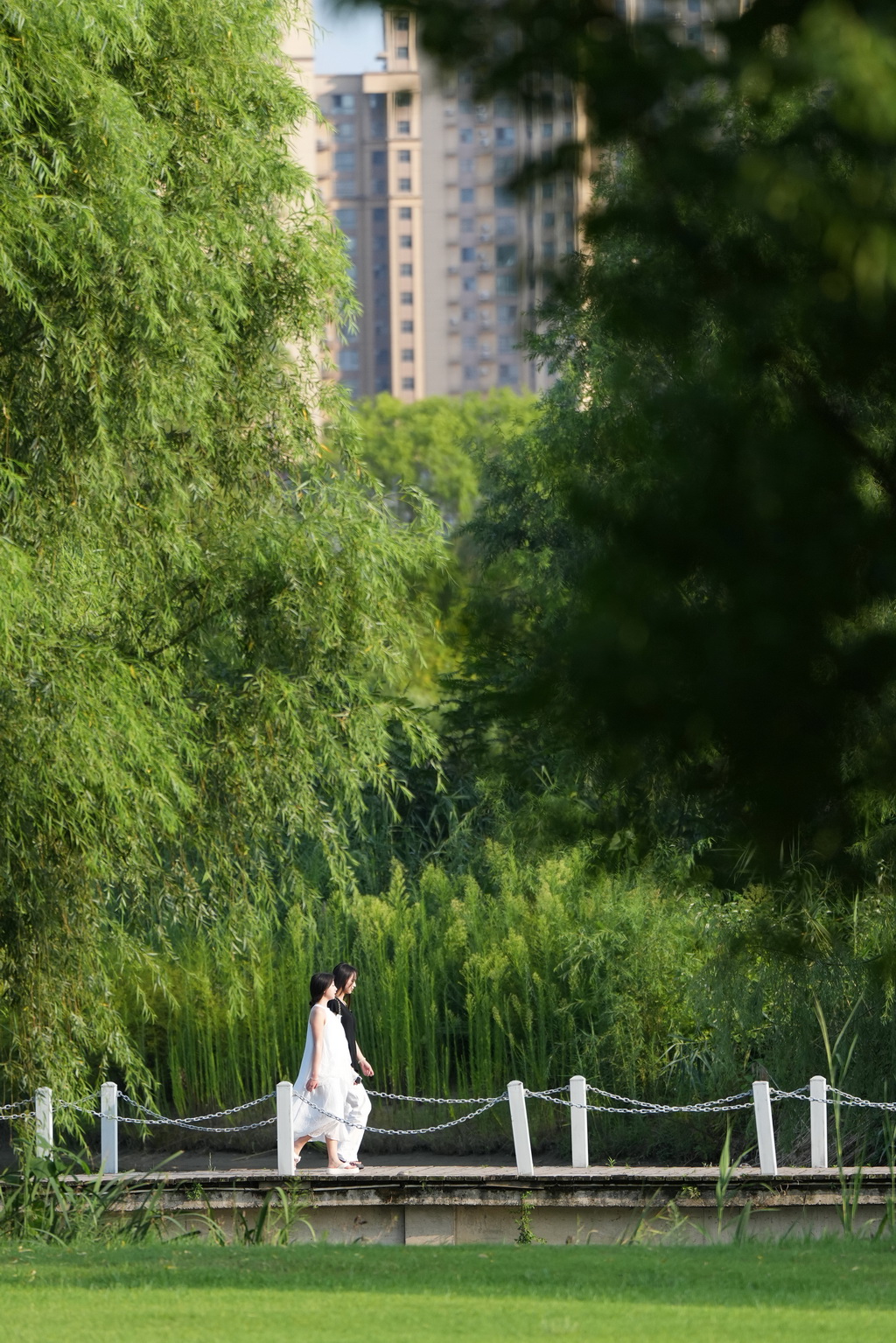 7月21日，市民在漢中市天漢濕地公園內休閑。