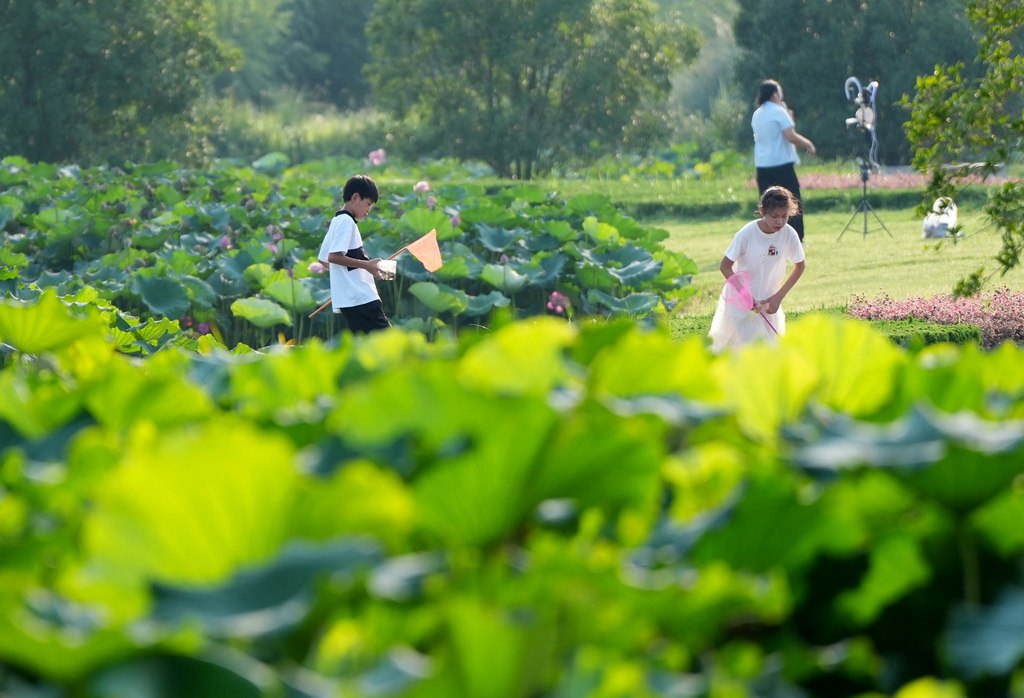 7月21日，兒童在漢中市天漢濕地公園內嬉戲。