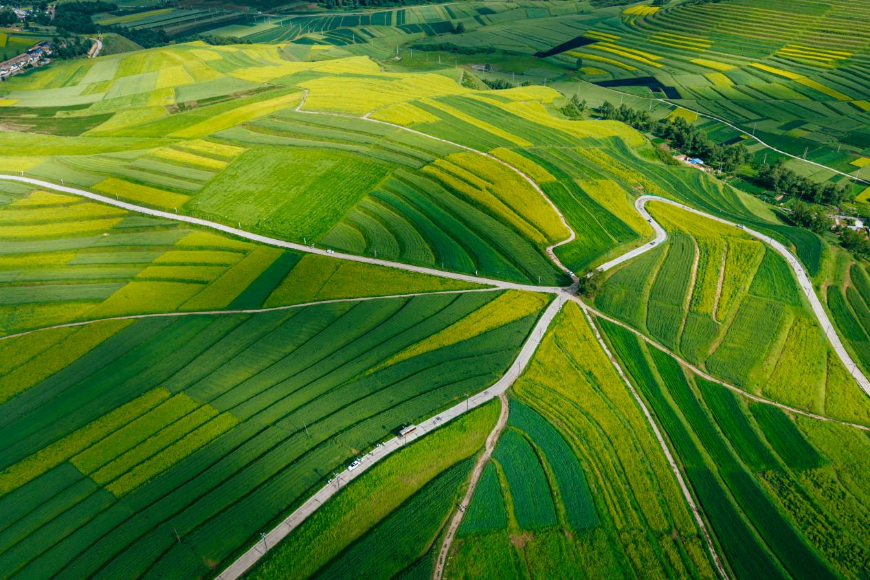 綠色賦能，讓“后花園”變“流量場”