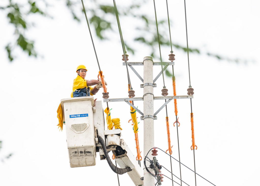 新疆昌吉:帶電作業保供電【2】