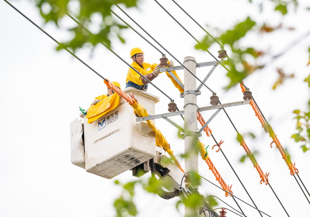 新疆昌吉:帶電作業保供電【3】
