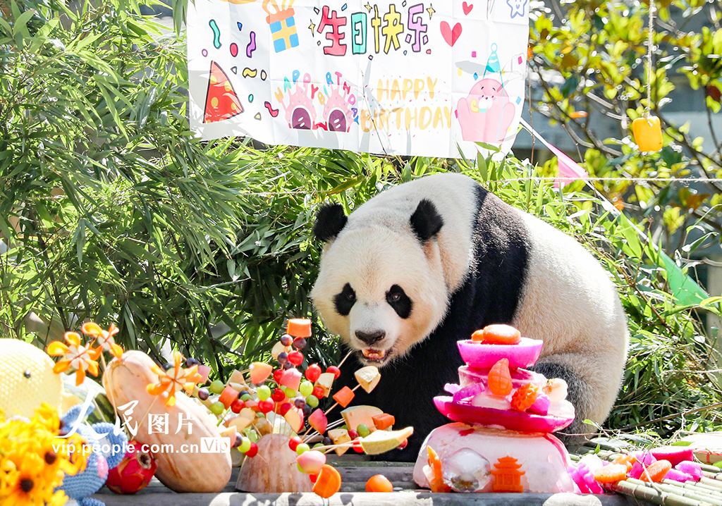 四川廣安：大熊貓生日會 游客送祝福