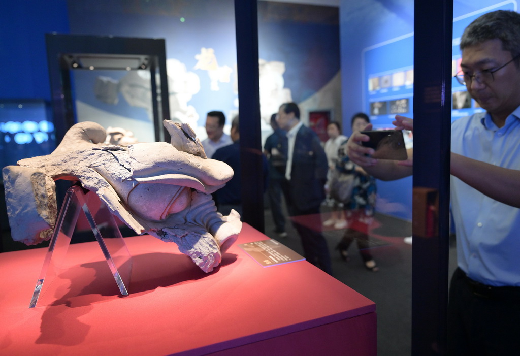 7月28日，觀眾在欣賞拍攝出土于雄安古州城遺址的唐代龍首。