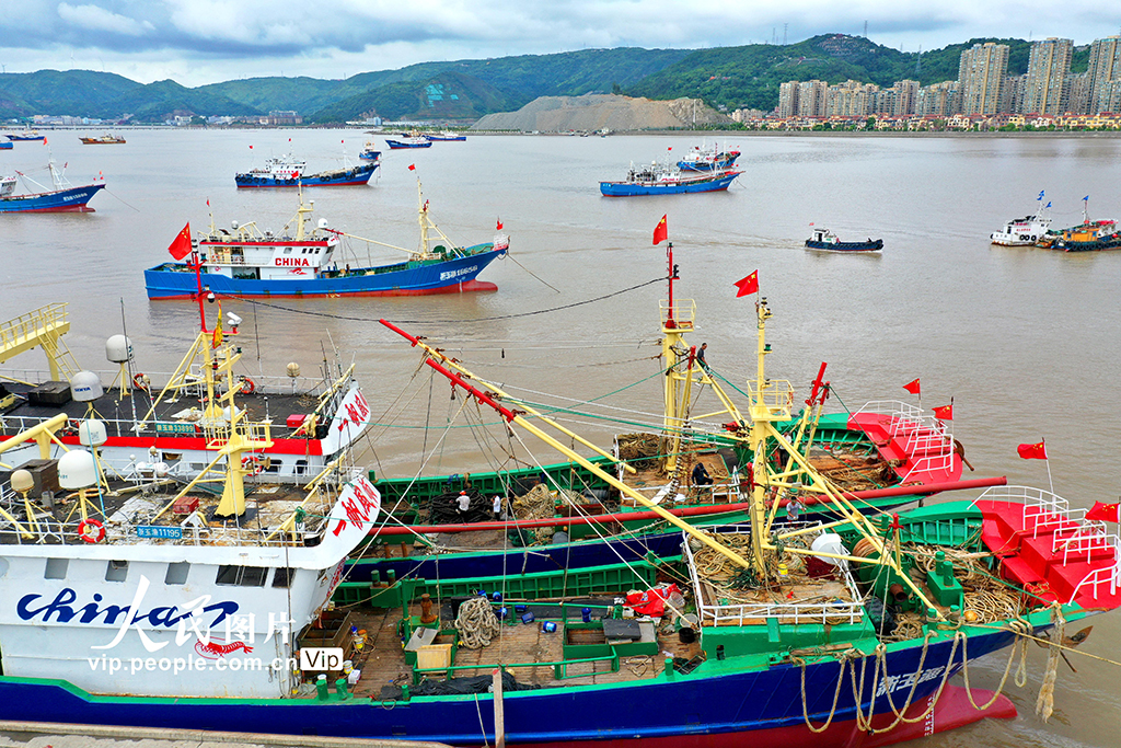 浙江玉環：漁民備捕迎開?！?】