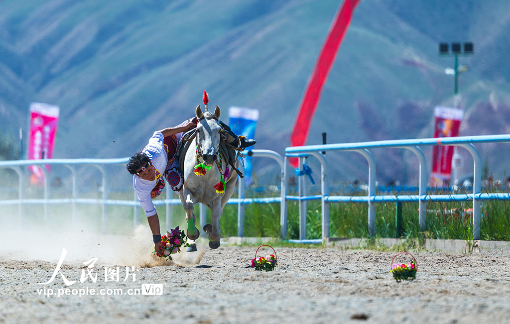 甘肅肅南:草原賽馬精彩紛呈【4】