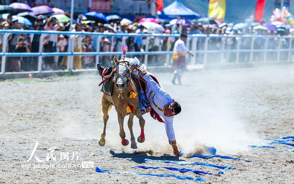 甘肅肅南:草原賽馬精彩紛呈【5】