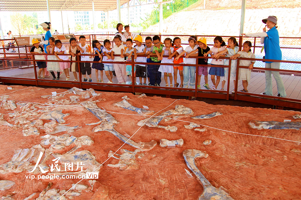 重慶:恐龍遺址公園迎來參觀潮【3】