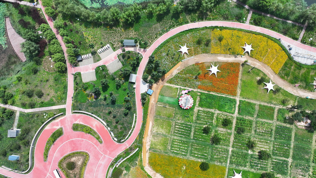 南泥灣國家濕地公園一隅（7月29日攝，無人機照片）。