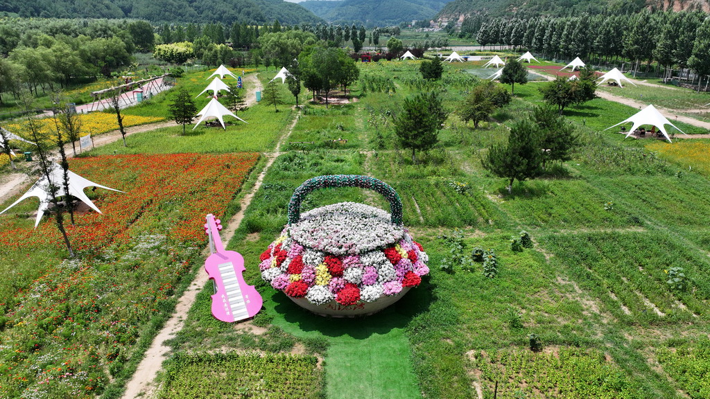 南泥灣國家濕地公園一隅（7月29日攝，無人機照片）。