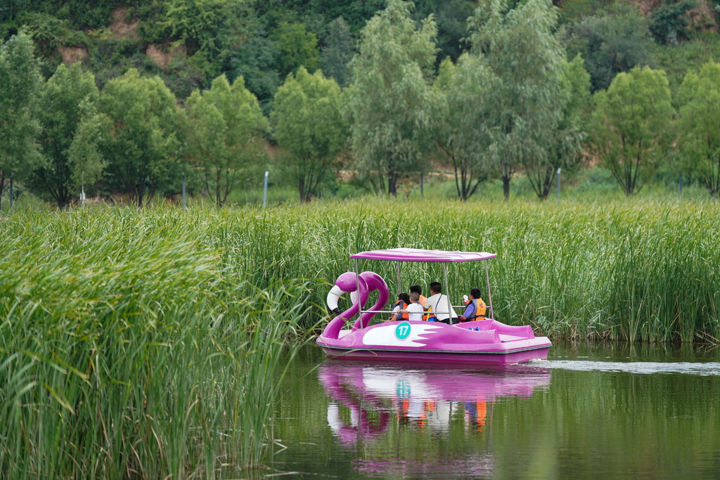 游客在南泥灣國家濕地公園內游玩（7月29日攝）。