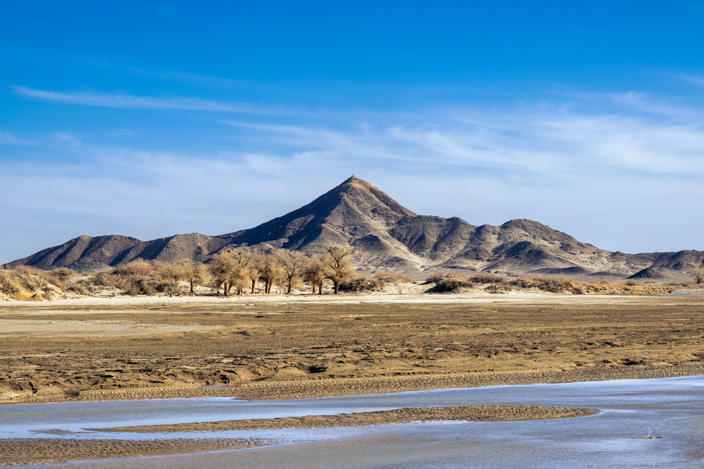 內蒙古阿拉善：沙海中的綠色家園