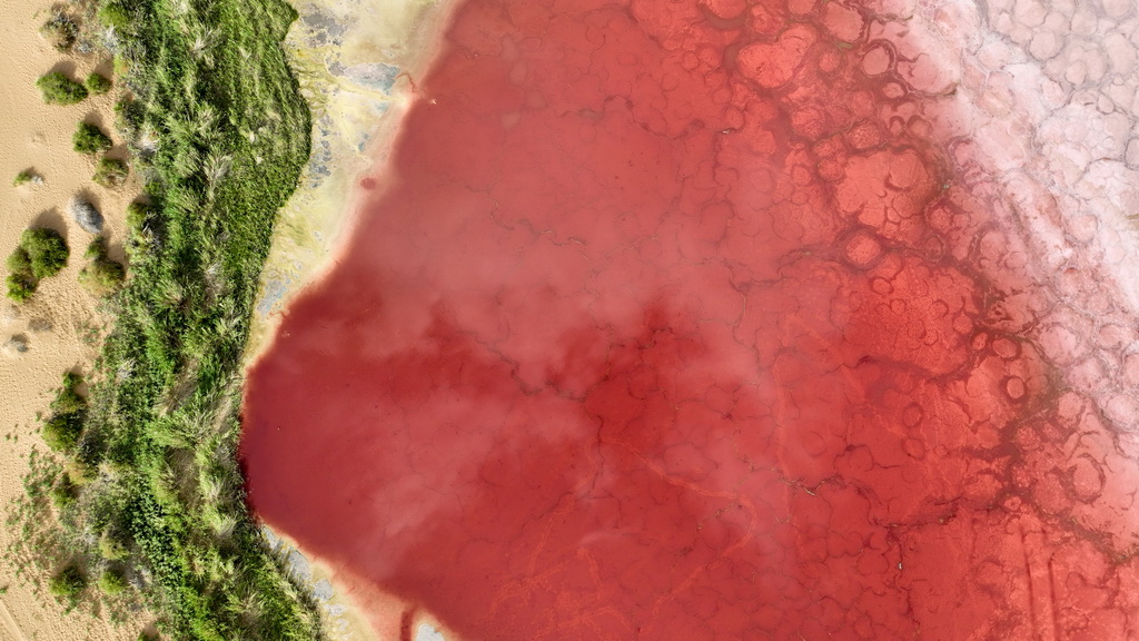 2024年7月30日在內蒙古阿拉善盟阿拉善右旗拍攝的巴丹吉林沙漠中的紅海子（無人機照片）。新華社記者 貝赫 攝