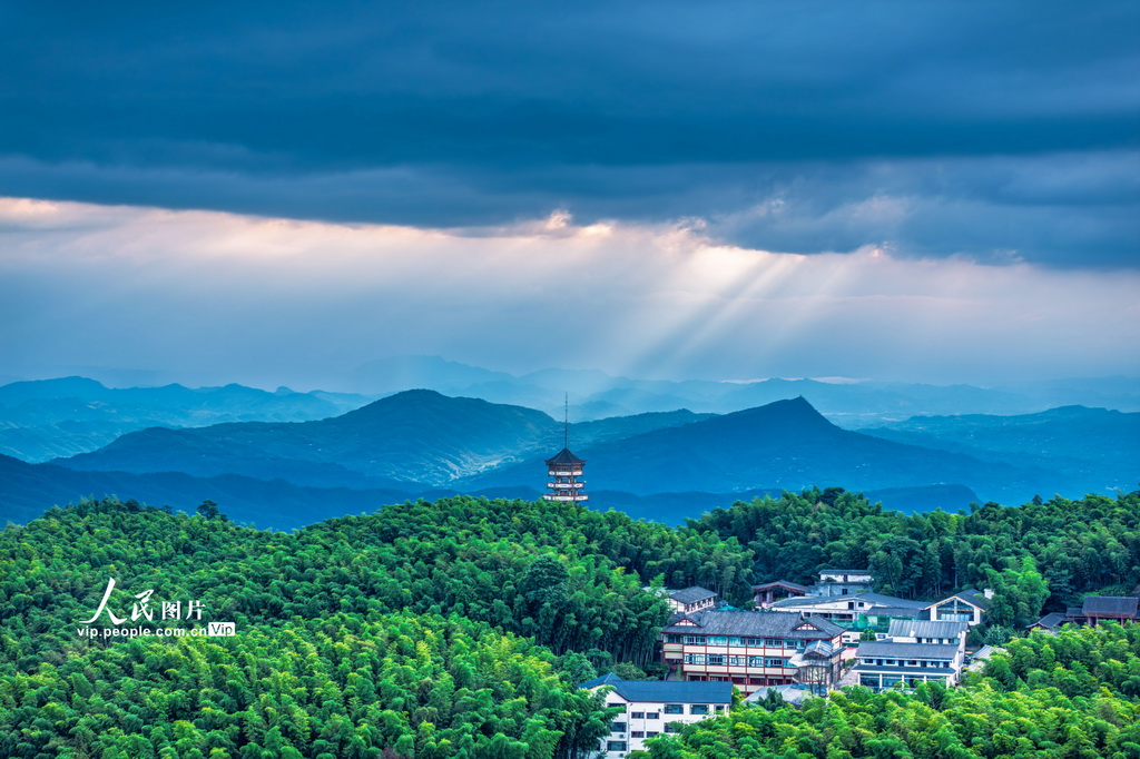 四川長寧:夏日竹海醉游人【2】