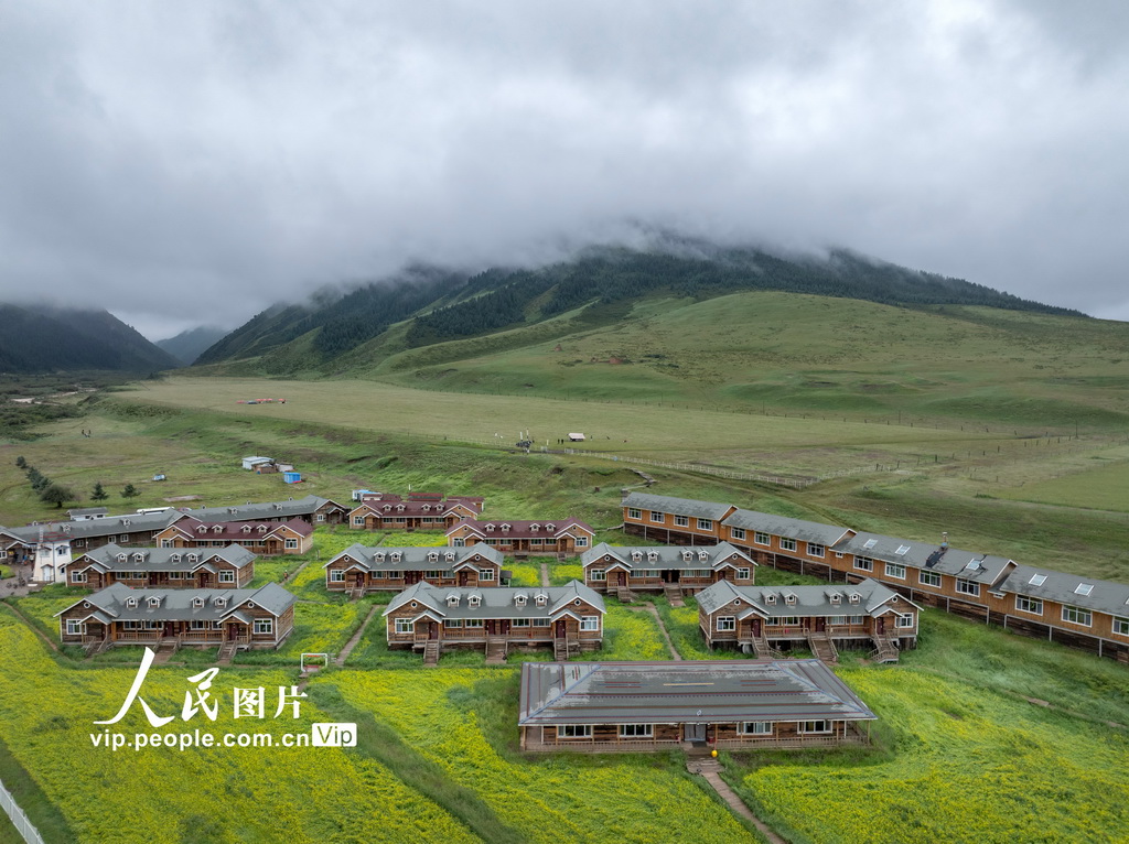 甘肅張掖：山丹煙雨駐 良馬踏青閑【4】