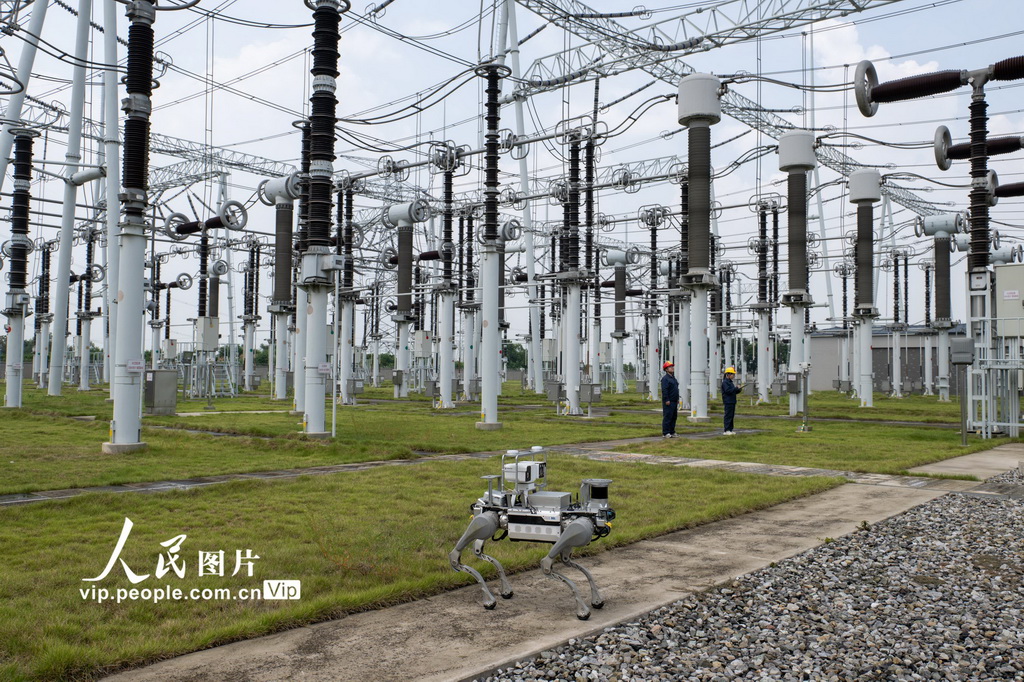 8月7日，四足機器人在湖北省宜昌市夷陵區500千伏安福變電站內對設備開展巡視檢查。