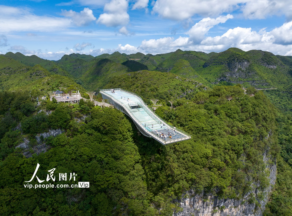 廣西樂業:暑期天坑美景引游人【4】