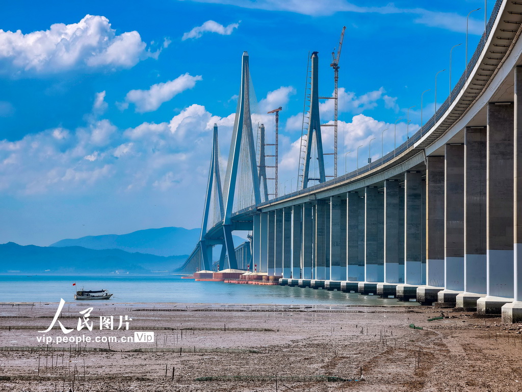 8月8日，建設中的浙江省寧波市象山港跨海大橋。