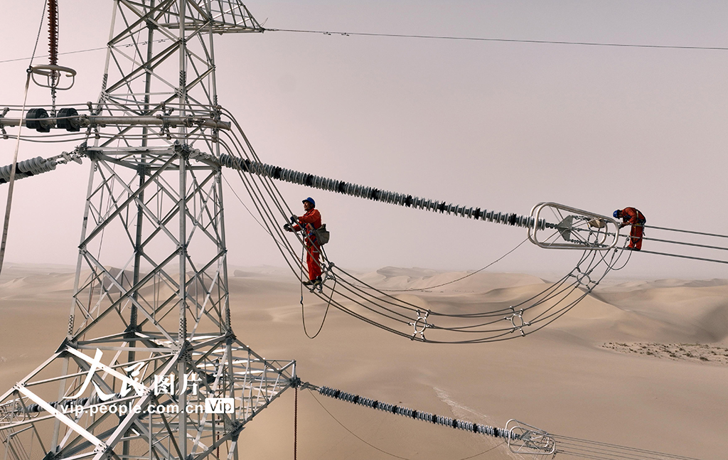 新疆且末:大漠“走線”【2】