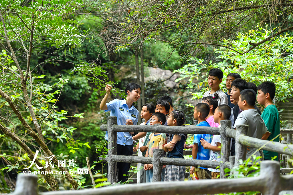 江西靖安:森林研學探索自然奧秘【2】