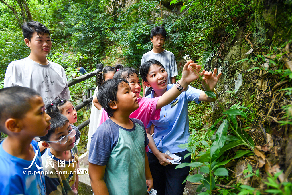 江西靖安:森林研學探索自然奧秘【5】