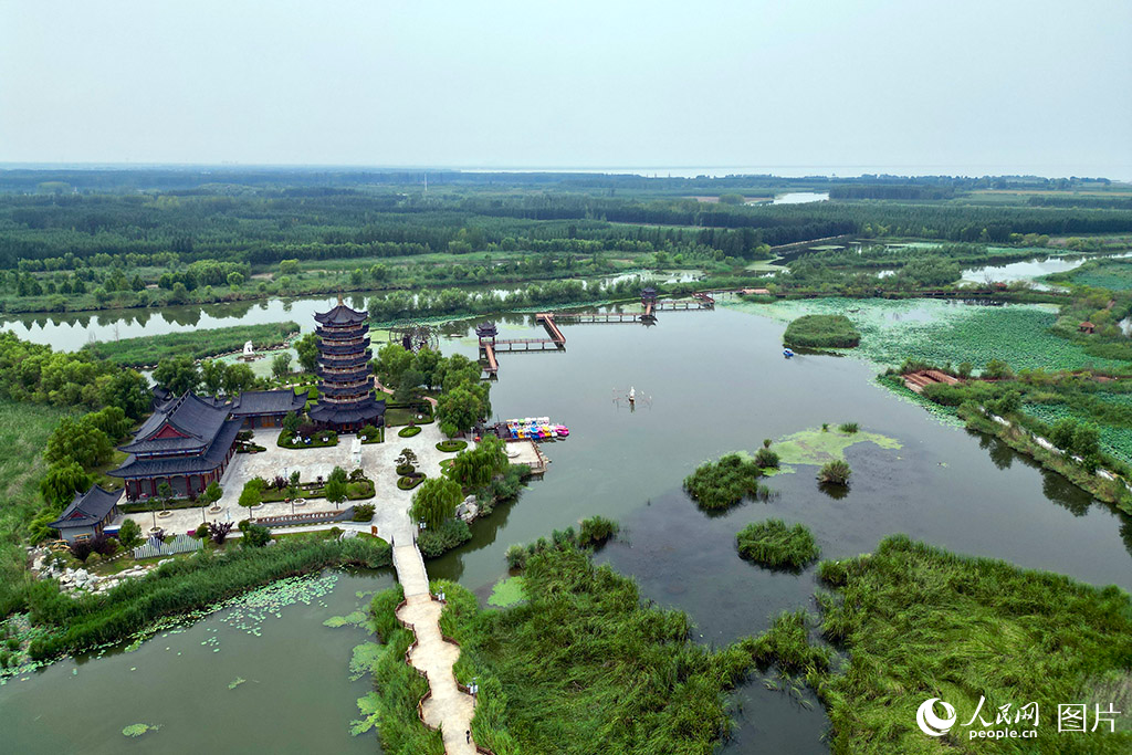 2025年8月4日，曾經“網箱密布”的東平湖，如今已重現“水清岸綠”的生態畫卷。近年來，山東省東平縣系統推進退漁還湖、清網還清等綜合治理工程，實現湖區從“人進湖退”到“人退湖進”的深刻轉變。一湖清水，映照著人與自然的和諧共生，也生動詮釋著“綠水青山就是金山銀山”理念的實踐。人民網 莊潤澤攝