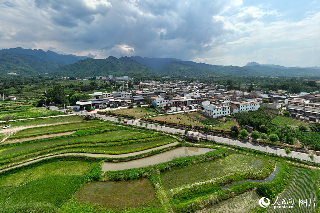 2025年6月14日，陜西省西安市長安區王莽街道清水頭村風景如畫。經過美麗鄉村整治工程，清水頭村實現了從環境洼地到生態高地的華麗轉身。人民網記者 魏鑫攝