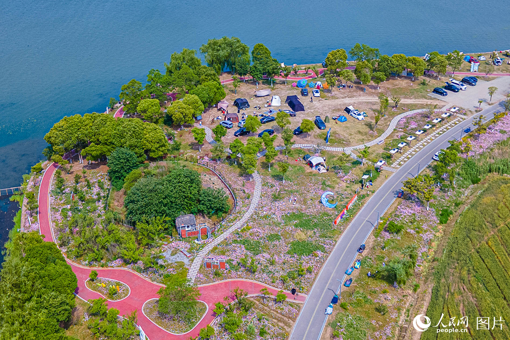 2025年5月4日，江蘇省昆山市，游客在明鏡蕩國家水利風景區休閑游玩。明鏡蕩國家水利風景區位于江蘇省昆山市錦溪鎮，總面積32平方公里，其中水域面積10.78平方公里，是昆山市首個國家級水利風景區。景區經過疏浚治理、筑堤固河，形成了水體資源豐沛、河湖貫通、調蓄滯洪功能完備的水系，布設了“一心一廊五區”景觀布局，將水利建設與打造美麗鄉村相結合，融水利科普、休閑度假和園林景觀為一體，打造出了人水和諧的水利樣板景區。人民網記者 王初攝