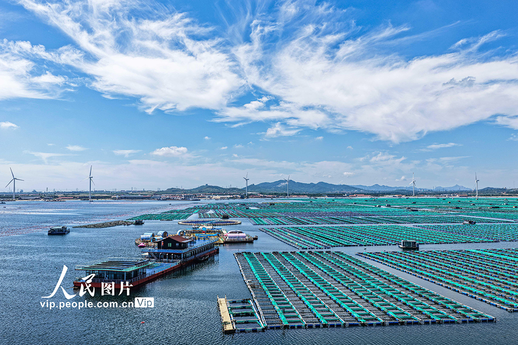 山東榮成:海洋牧場也能玩【2】