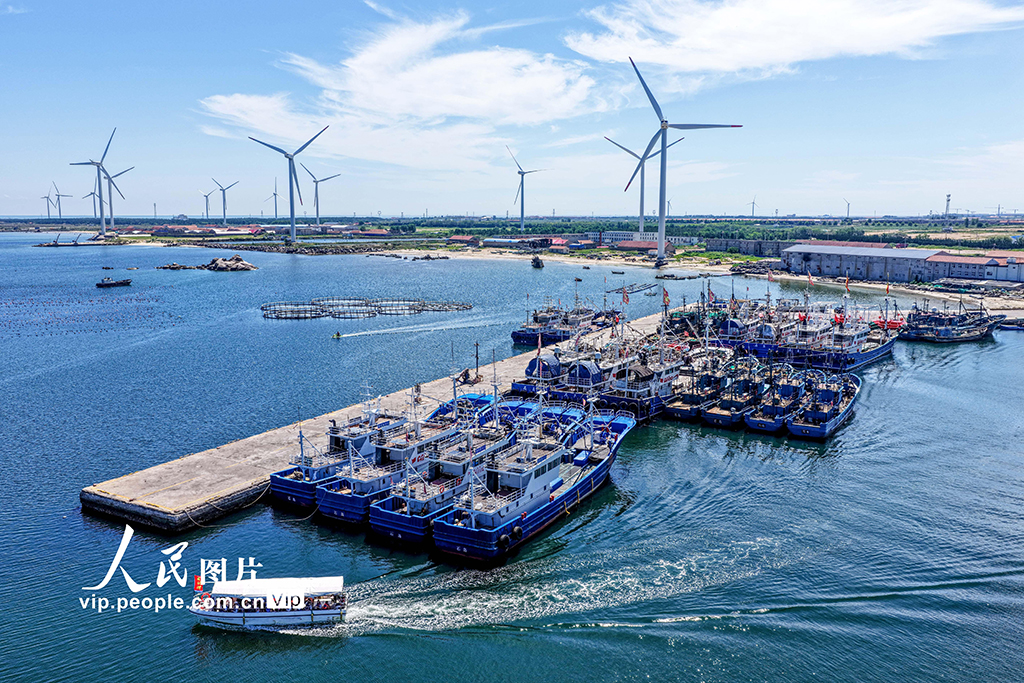 山東榮成:海洋牧場也能玩【4】