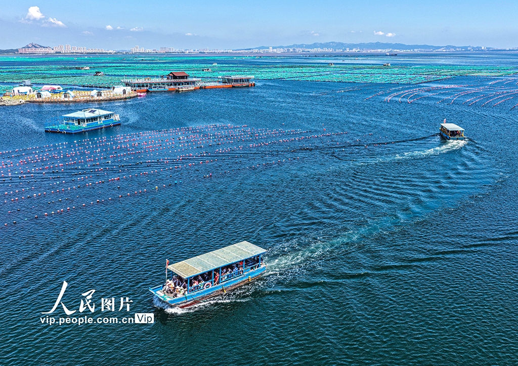 山東榮成：海洋牧場也能玩【5】