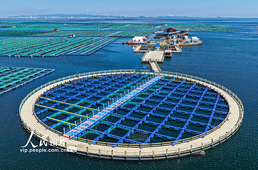 山東榮成：海洋牧場也能玩