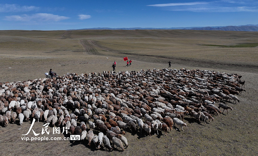 新疆和布克賽爾：暖心護航轉場路