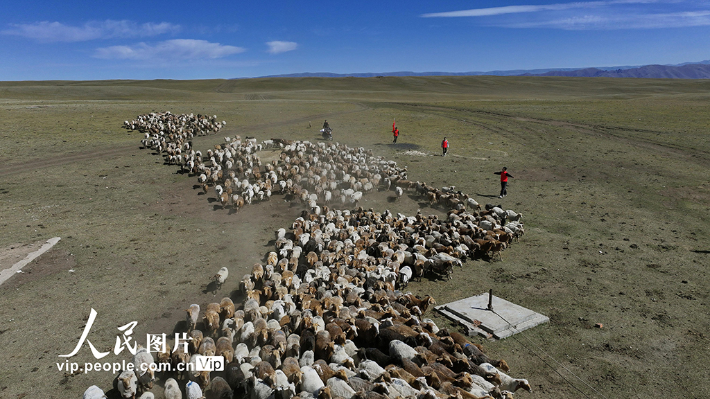 新疆和布克賽爾：暖心護航轉場路【3】